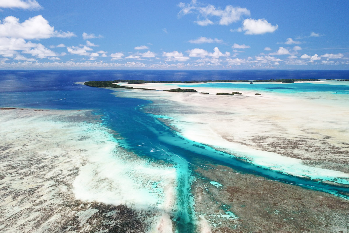 Palau Micronesia Scuba Diving 12
