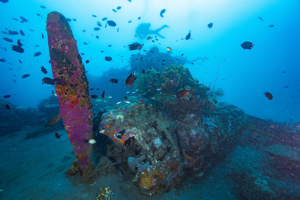 Solomon Islands Scuba Diving 14