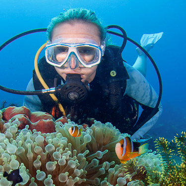 Muck dive in Dumaguete Image