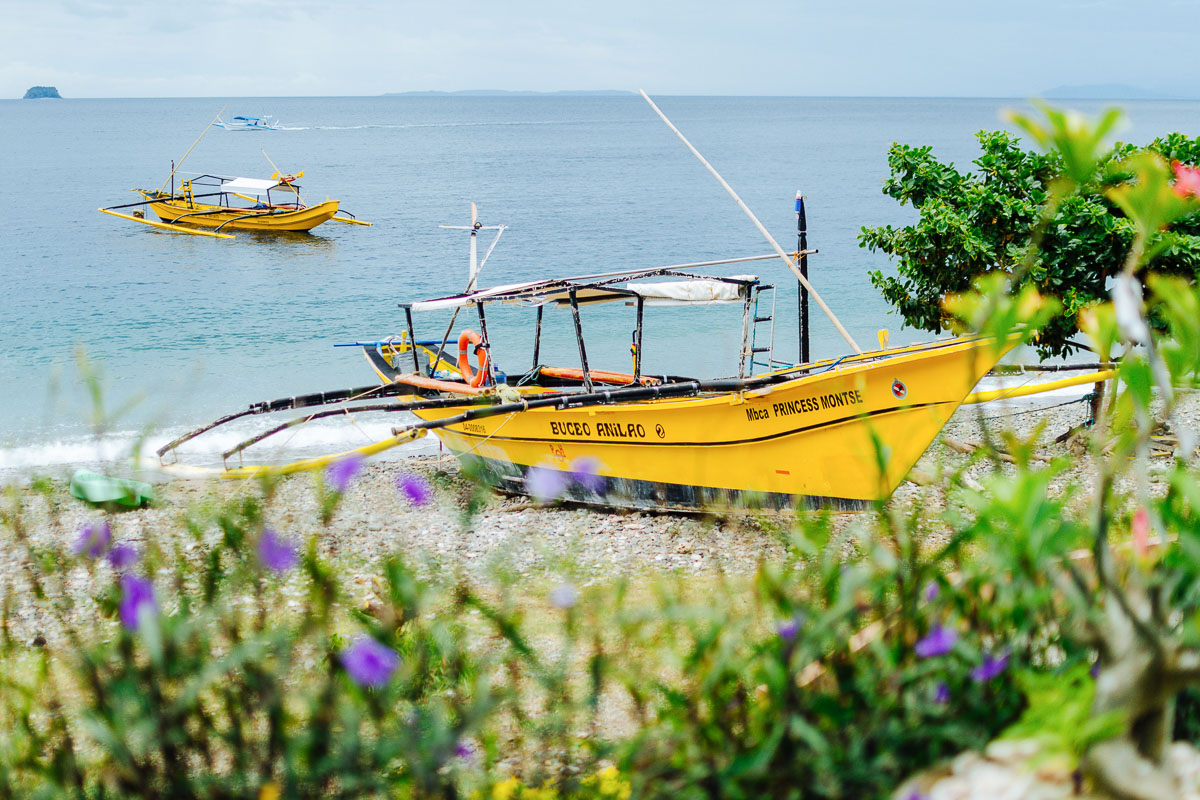 Buceo Anilao Philippines 13