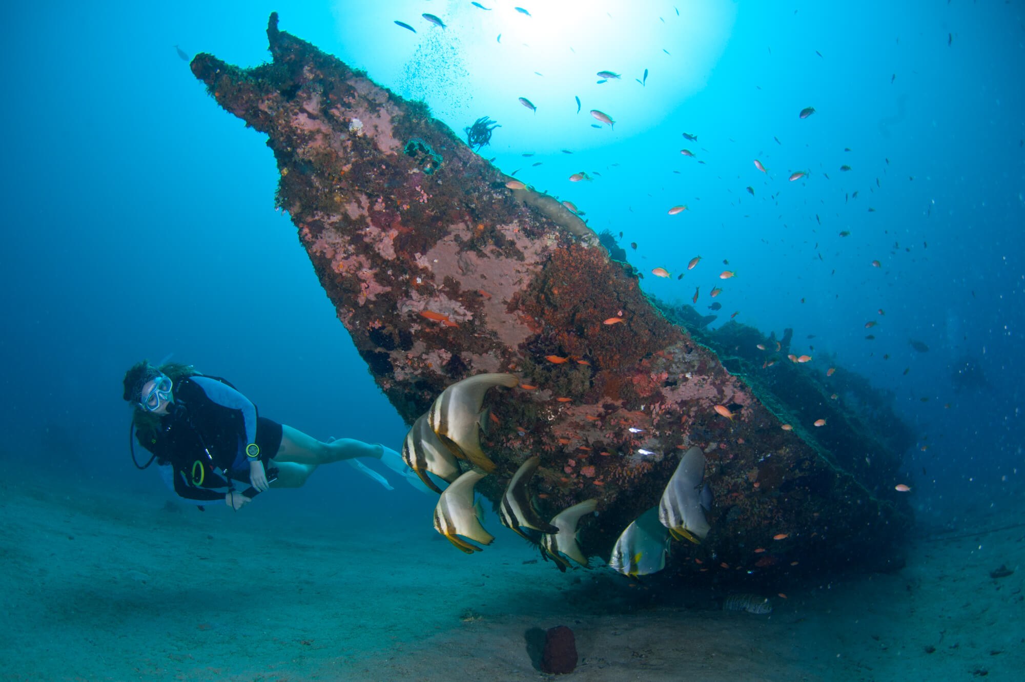 Sabang offers plenty of sites for beginners, including a wreck