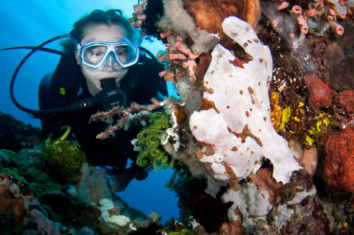 Puerto Galera Sabang Diving Philippines