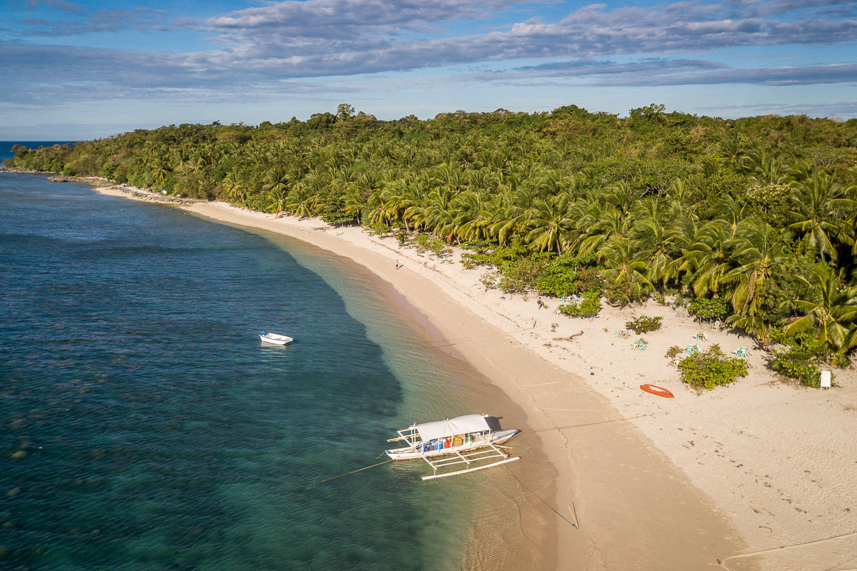 Apo Reef Occidental Mindoro Scuba Diving 4