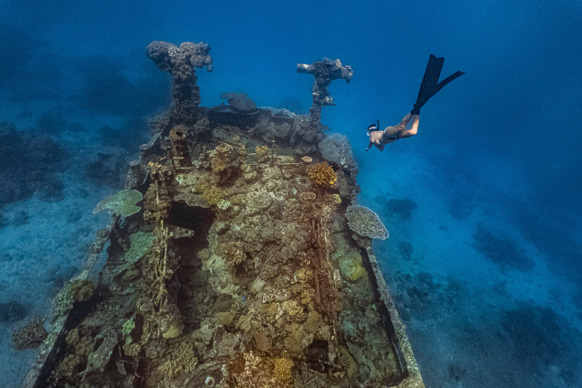 Apo Reef Occidental Mindoro Scuba Diving 8