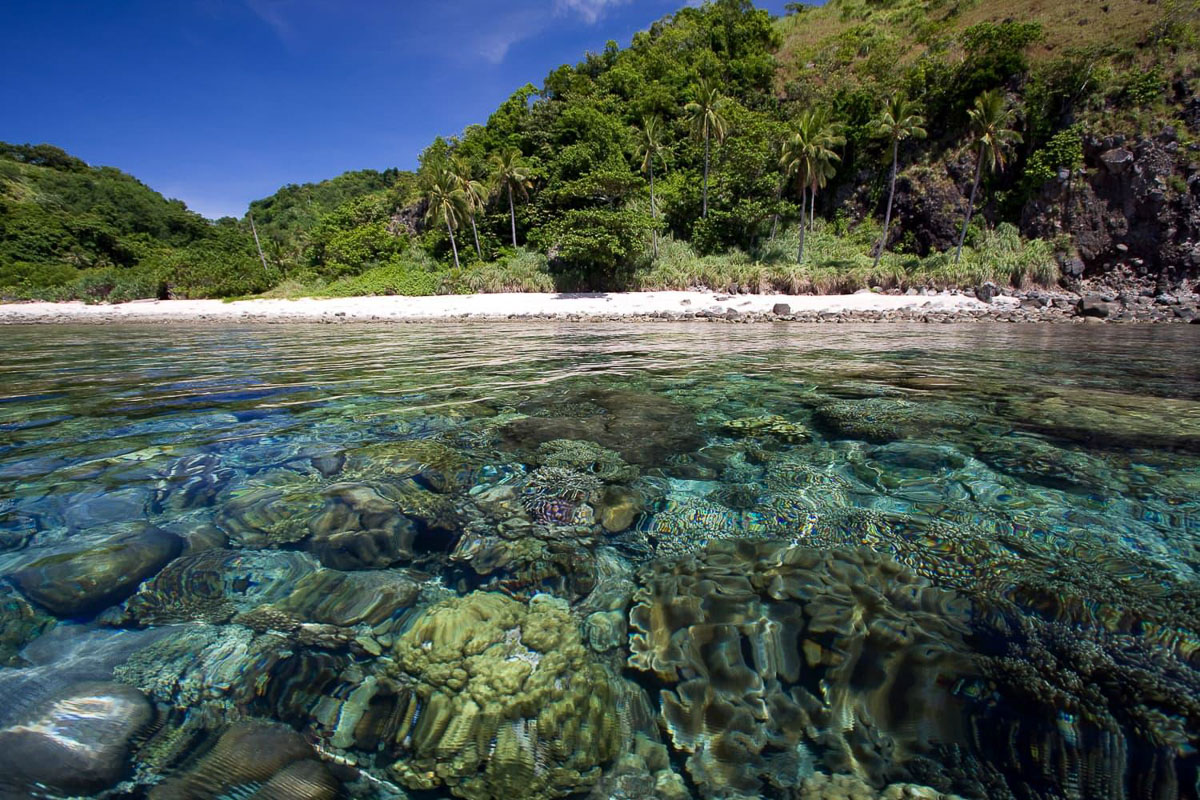 Dauin Dumaguete Apo Diving Philippines 10