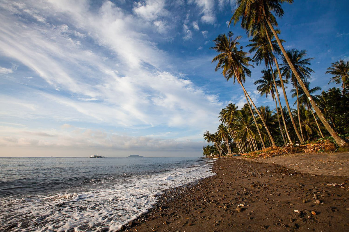 Dauin Dumaguete Apo Diving Philippines 4