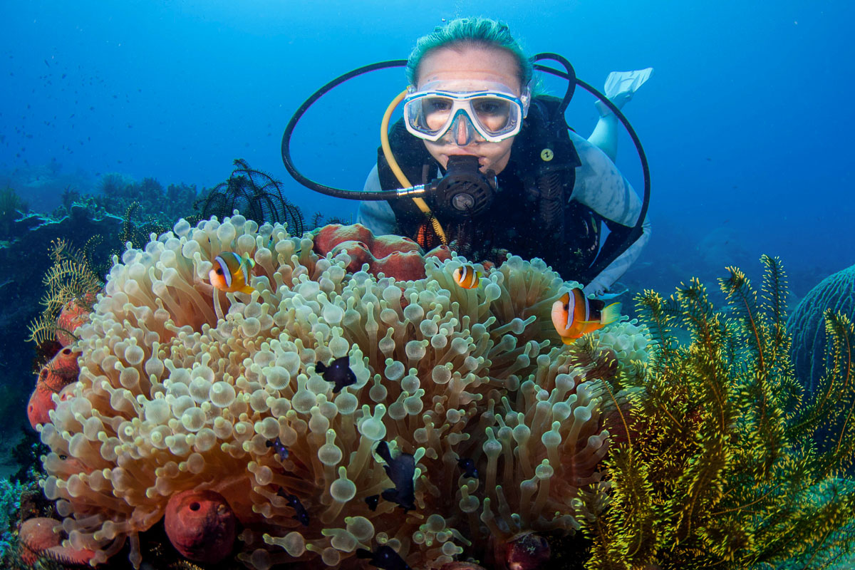 Dauin Dumaguete Apo Diving Philippines 5