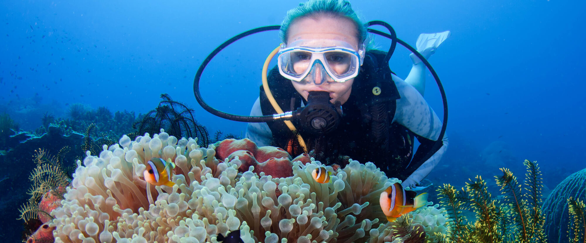 best beginner diving philippines