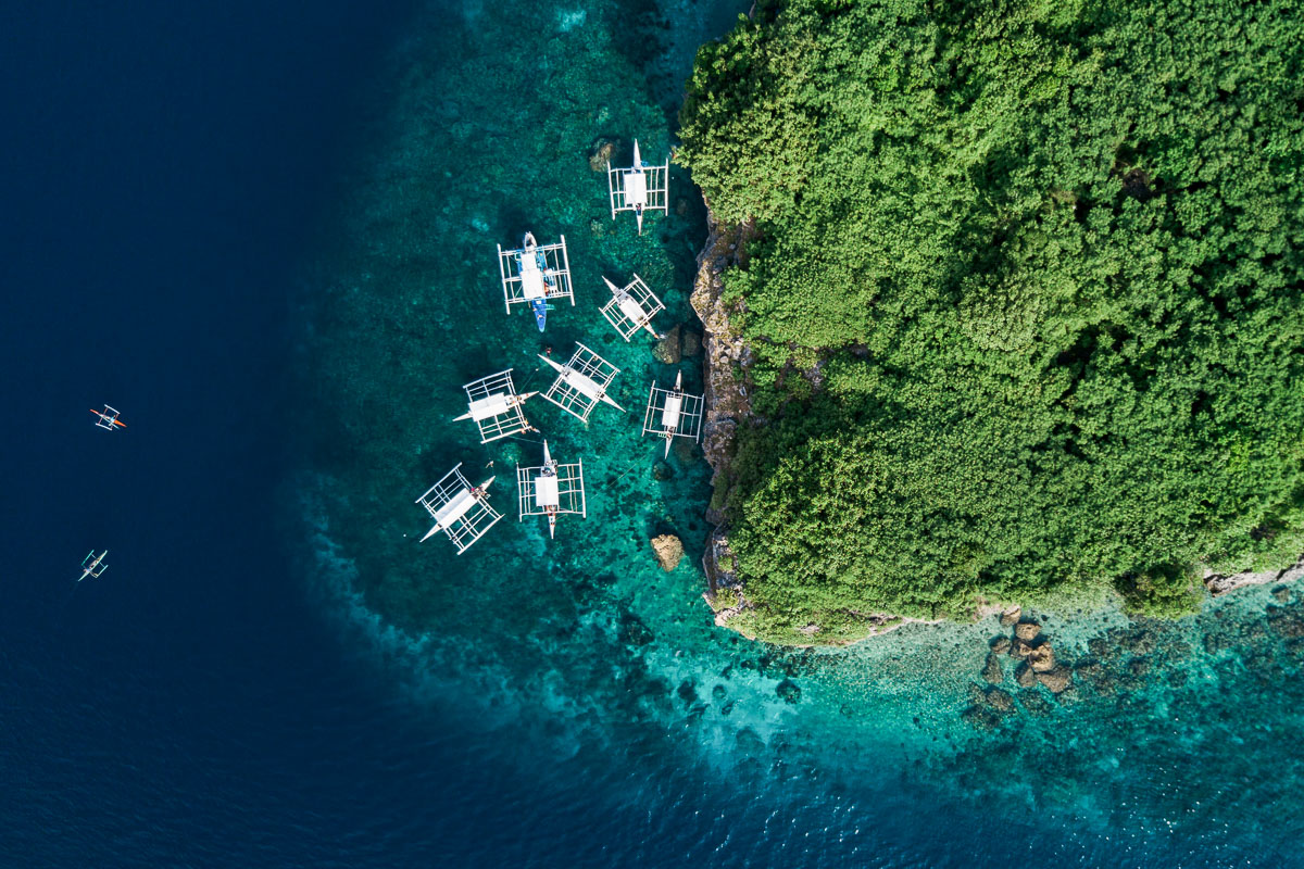 Moalboal Cebu Scuba Diving Sardines Reef 5