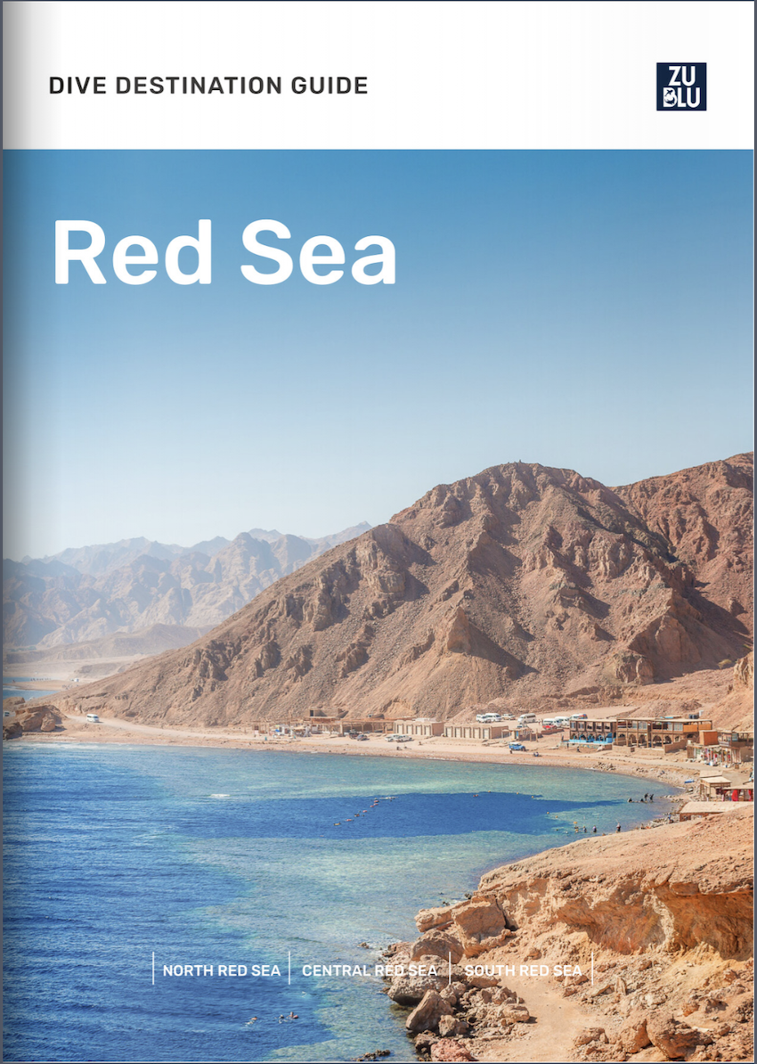 Red Sea Dive Destination Guide