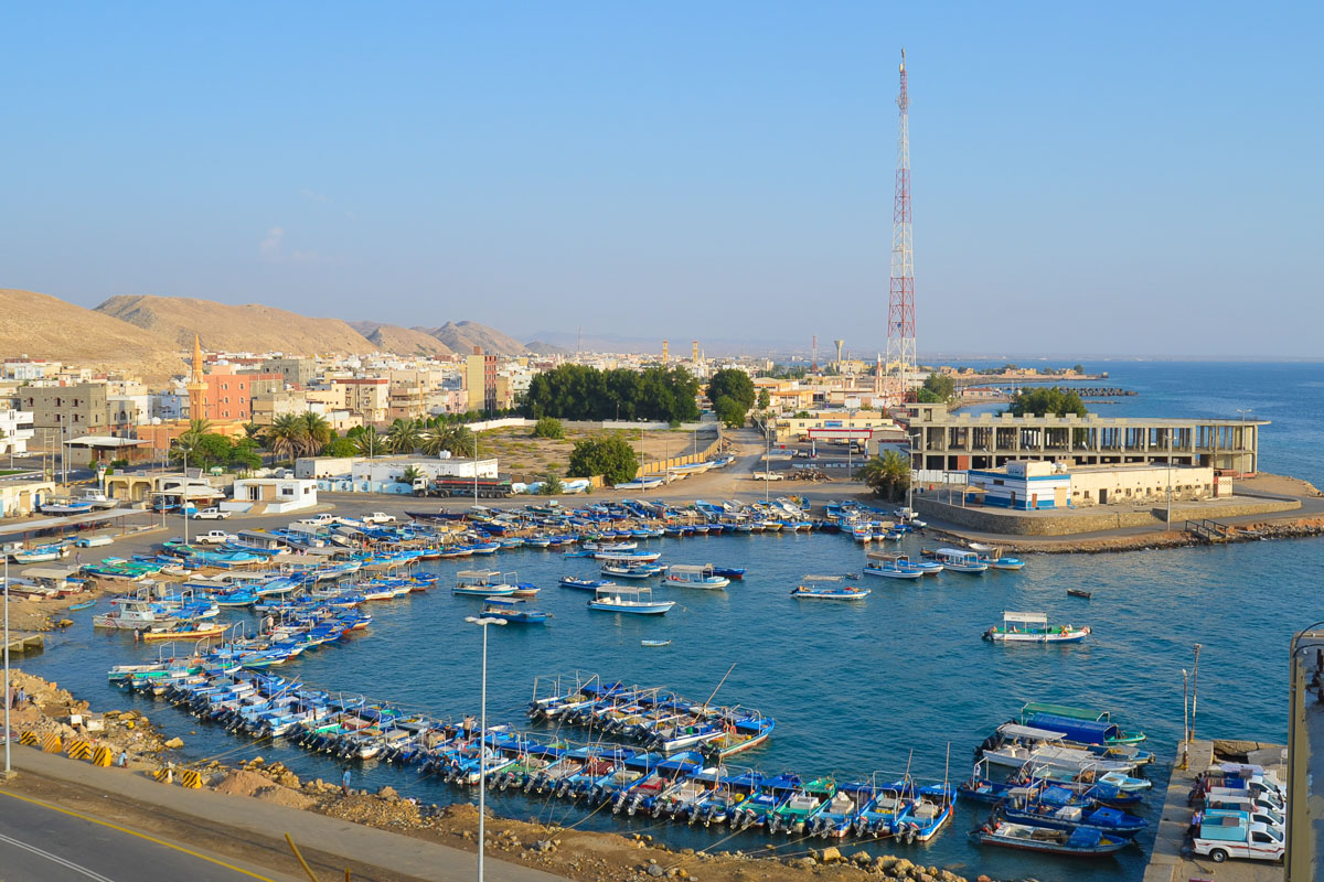 Saudi Arabia Scuba Diving 14