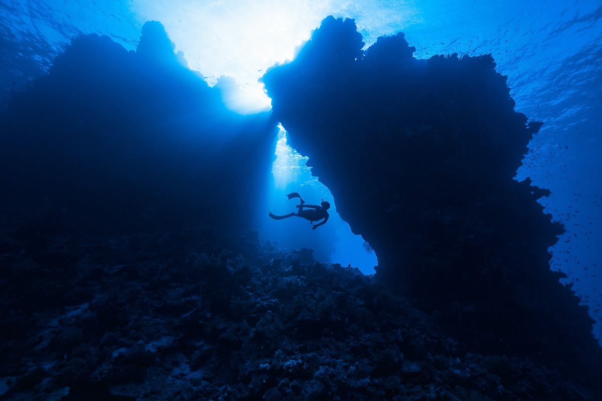 Saudi Arabia Scuba Diving 19