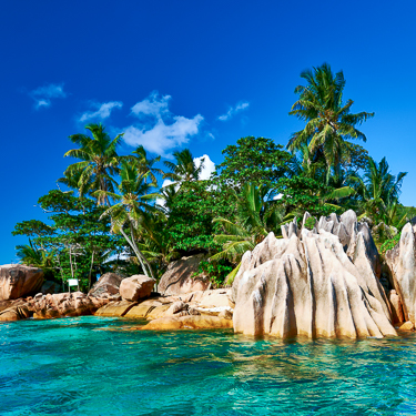 Explore the idyllic Ile Cocos Marine Park Image