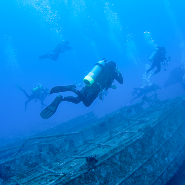 Seychelles Scuba Diving Diver
