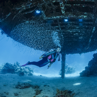 Sudan Scuba Diving Conshelf Ii