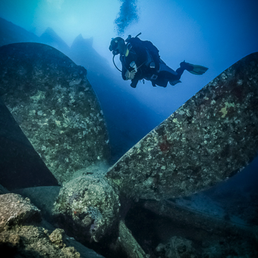 Sudan Scuba Diving Umbria