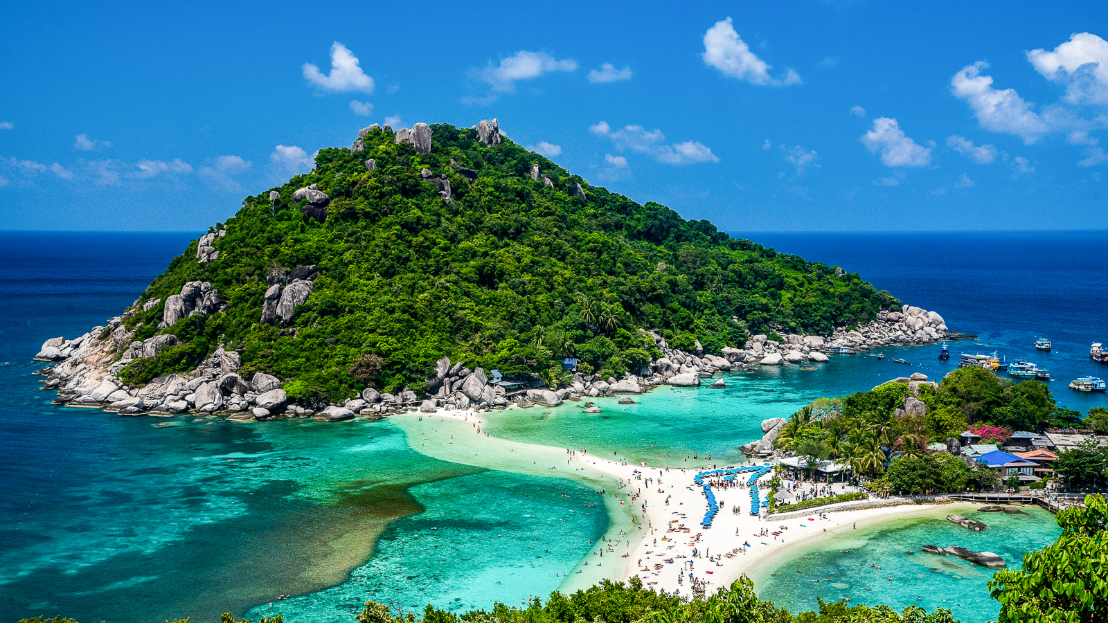 Scuba Diving in Koh Tao | ZuBlu