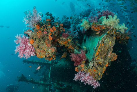 The King Cruiser Wreck, Phuket