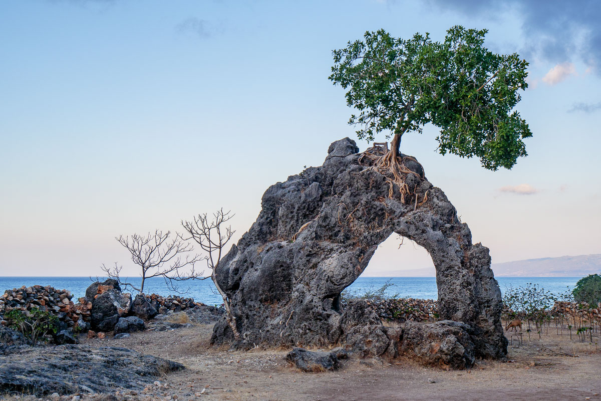 Timor Leste Dili Atauro Scuba Diving Dili coast