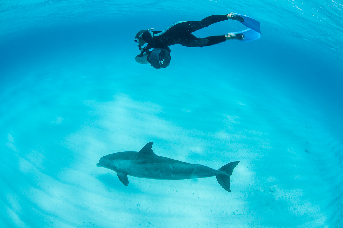 Grand Turk Island Turks Caicos Diving 4
