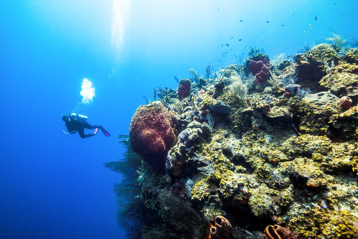 Providenciales Caicos Islands Scuba Diving 13