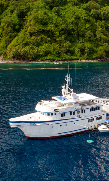 Cocos Island Liveaboard Portrait