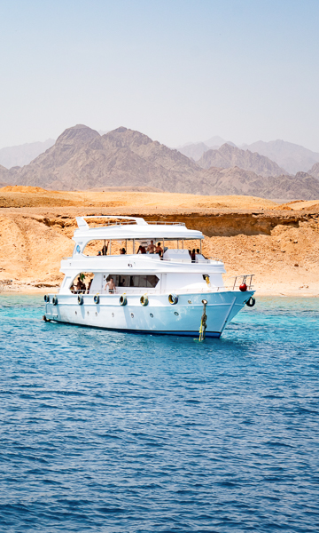 Egypt Red Sea Liveaboard Portrait