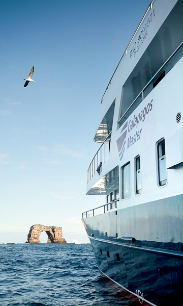 Galapagos Liveaboard Portrait