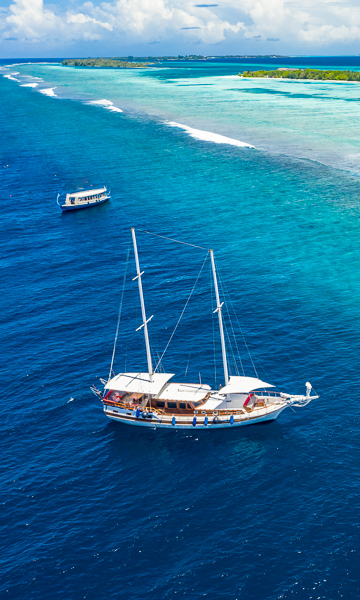 Maldives Liveaboard Portrait