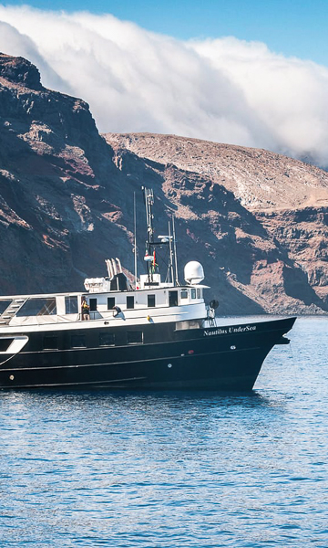 Mexico Liveaboard Portrait