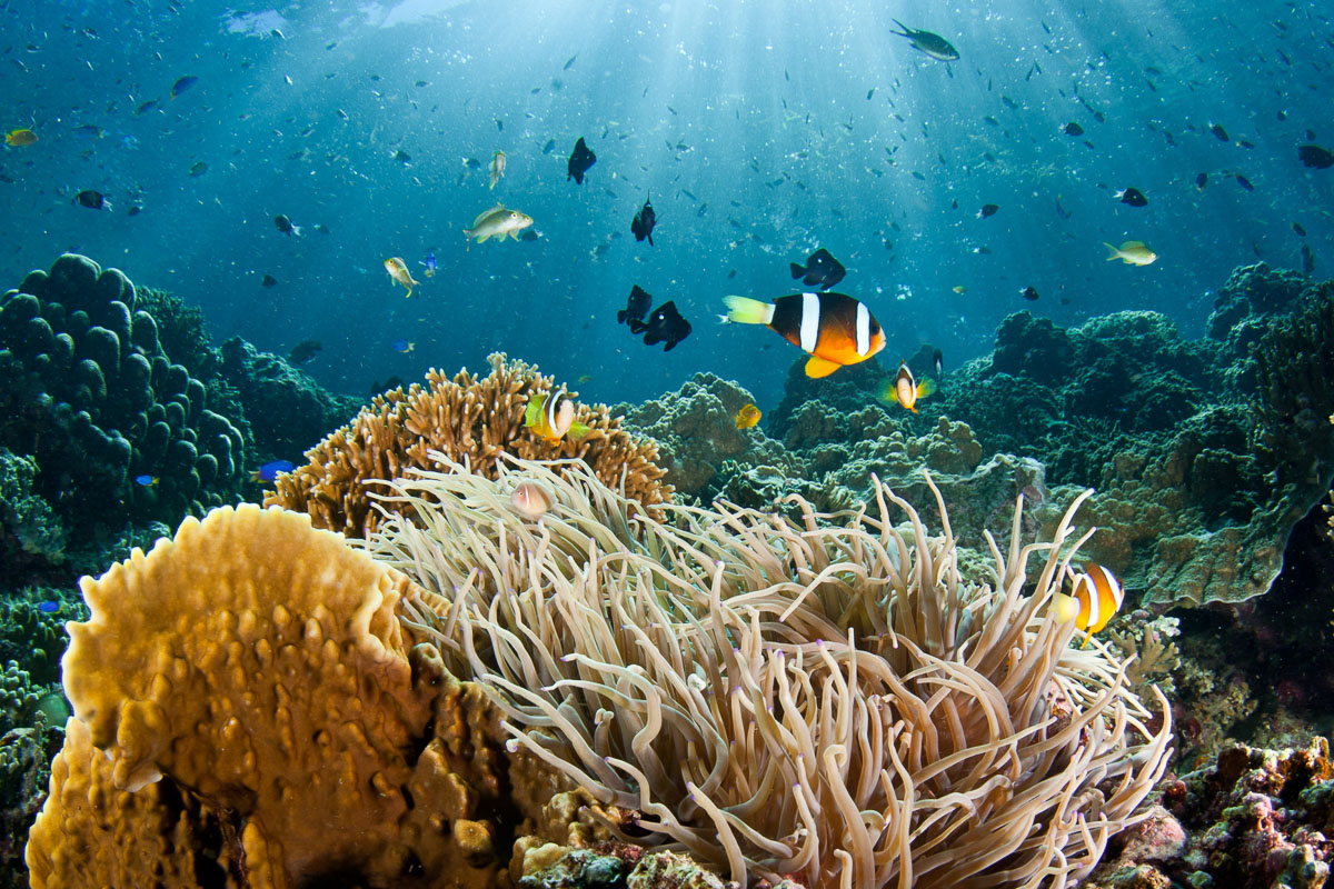 5 must-have items for sustainable scuba divers