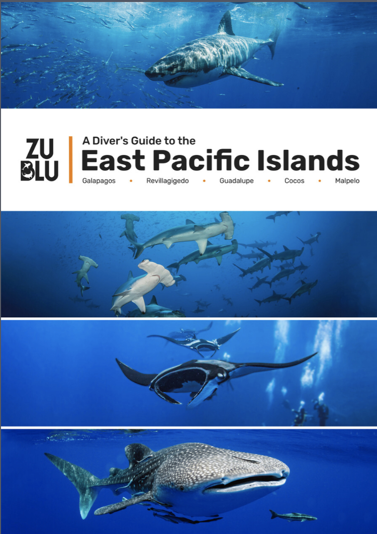 A Divers Guide To The East Pacific Cover