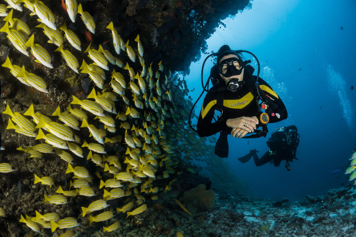 Eco-dive travel survey